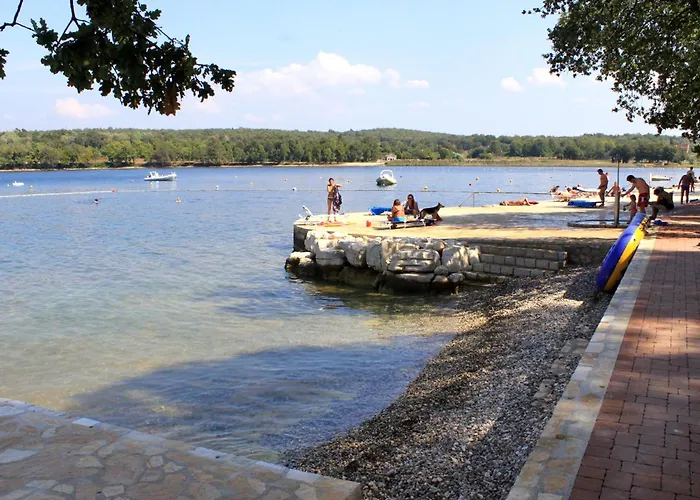 Family-friendly With Swimming Pool Valkarin, - 24238 Apartment Poreč