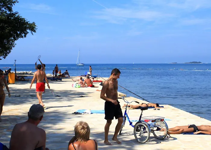 Family-friendly With Swimming Pool Valkarin, - 24238 Apartment *